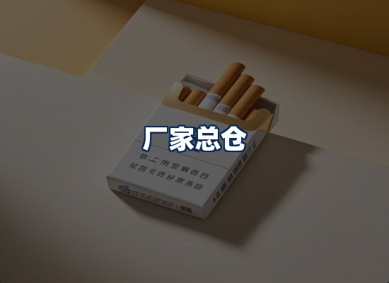 专业团队办公环境